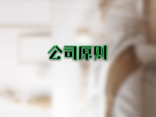 公司原则