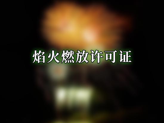焰火燃放许可证