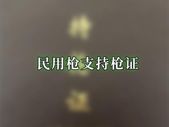 民用枪支持枪证