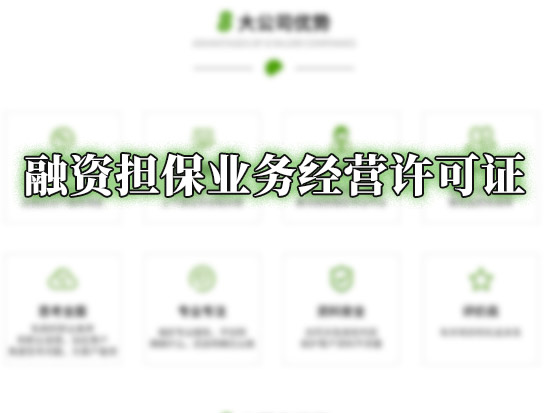 融资担保业务经营许可证